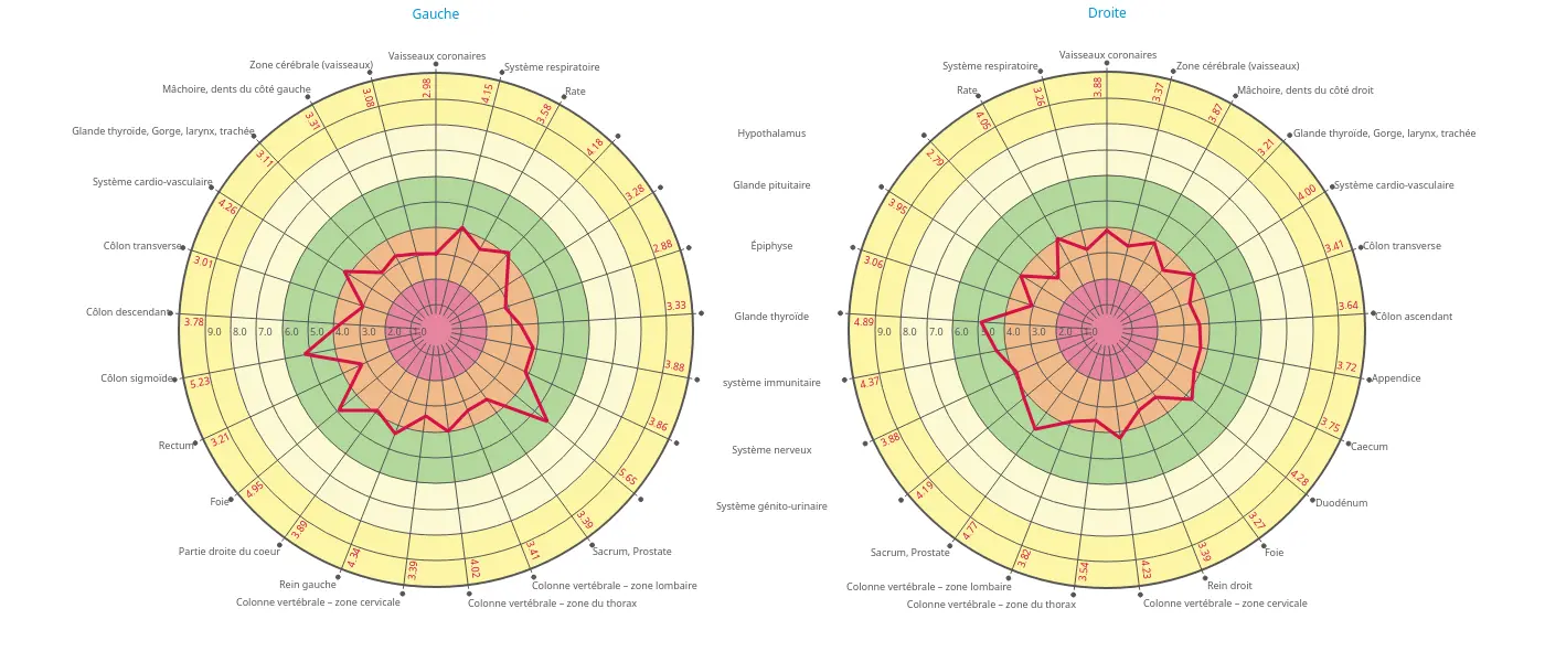 Diagrammes d'analyse Bio-Well de répartition de l'énergie.