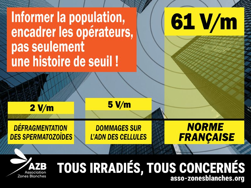 Source : association AZB